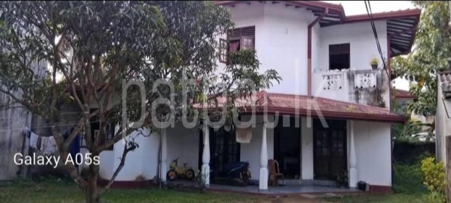 premium-listing-image