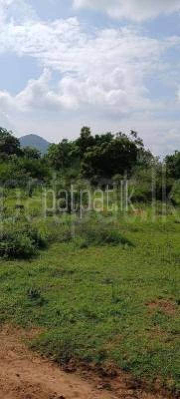 Residential Land for Sale in Kataragama