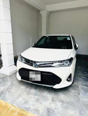 premium-listing-image