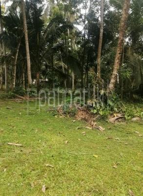 premium-listing-image