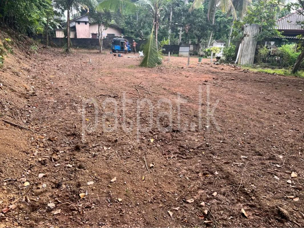 Commercial Land for Sale in Adampan