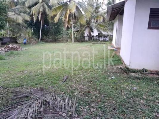 premium-listing-image