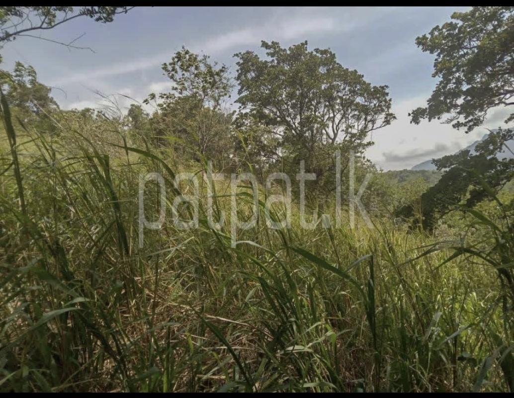 Commercial Land for Sale in Kandy