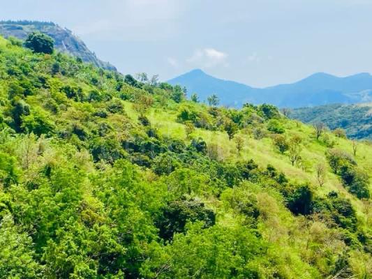 Commercial Land for Sale in Ududumbara