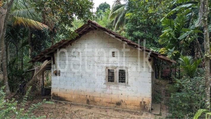 premium-listing-image