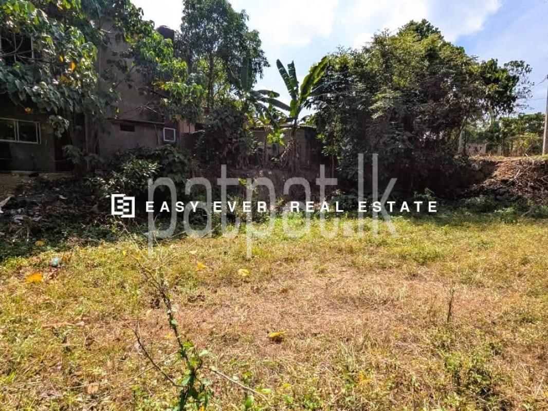 Residential Land for Sale in Weliveriya