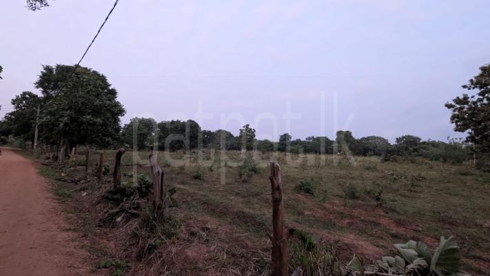 Residential Land for Sale in Mihintale