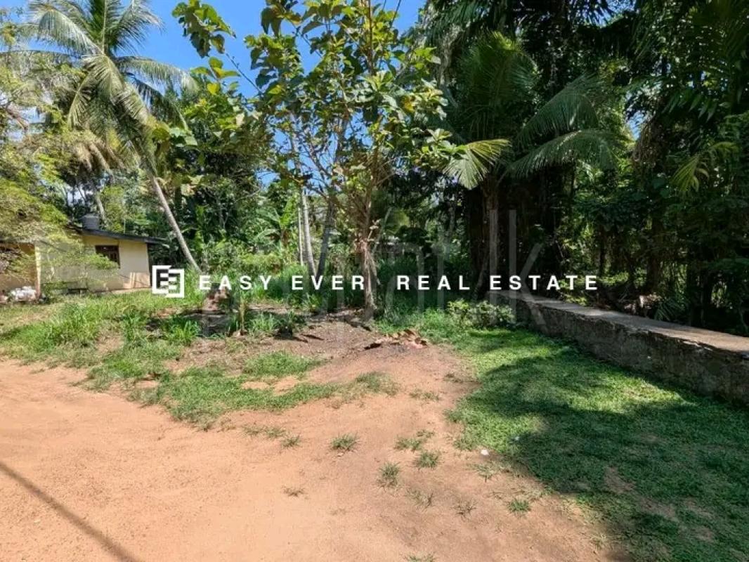 Commercial Land for Sale in Minuwangoda