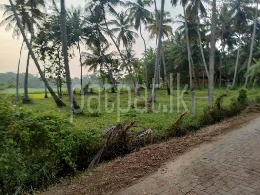 Agricultural Land for Sale in Kurunegala