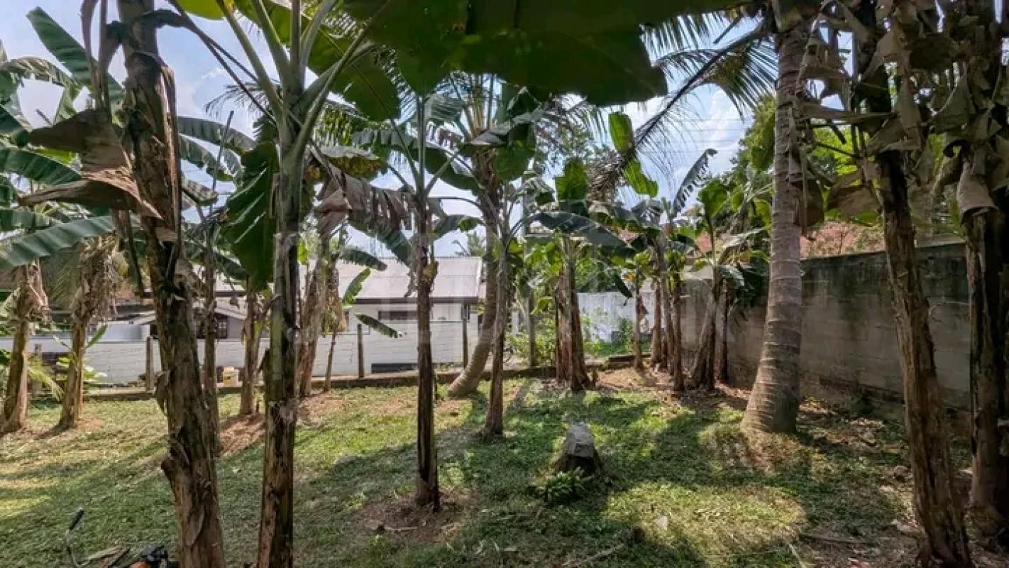 Commercial Land for Sale in Weliveriya