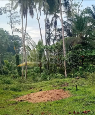 premium-listing-image