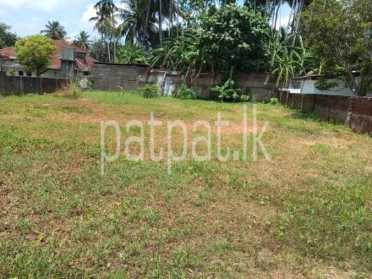 premium-listing-image