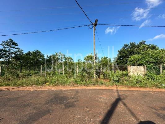 premium-listing-image