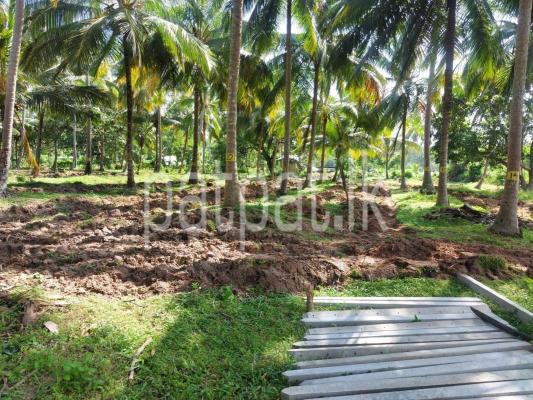 Agricultural Land for Sale in Kurunegala