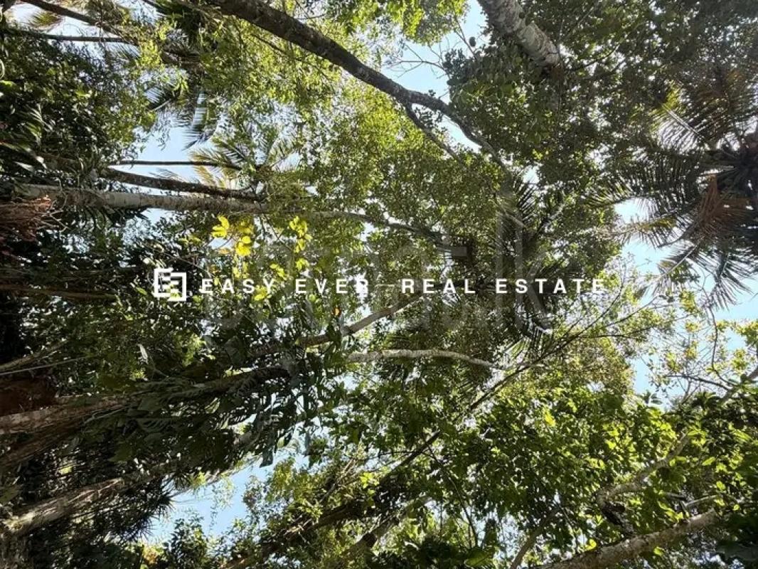 Commercial Land for Sale in Minuwangoda