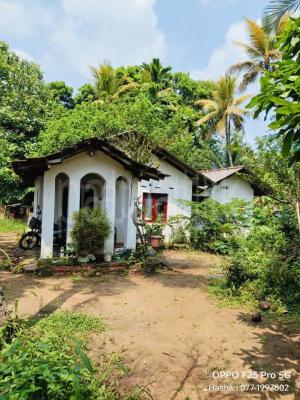 premium-listing-image