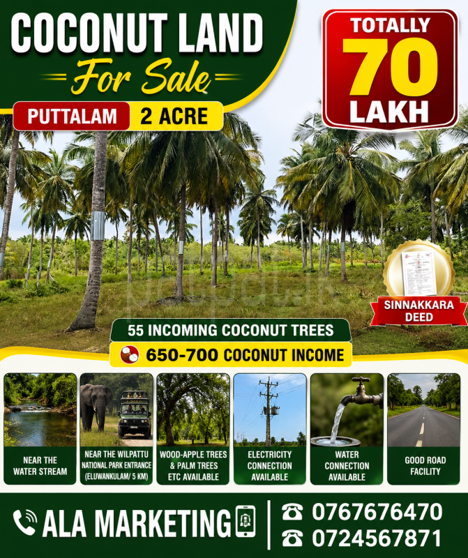 Agricultural Land for Sale in Puttalam