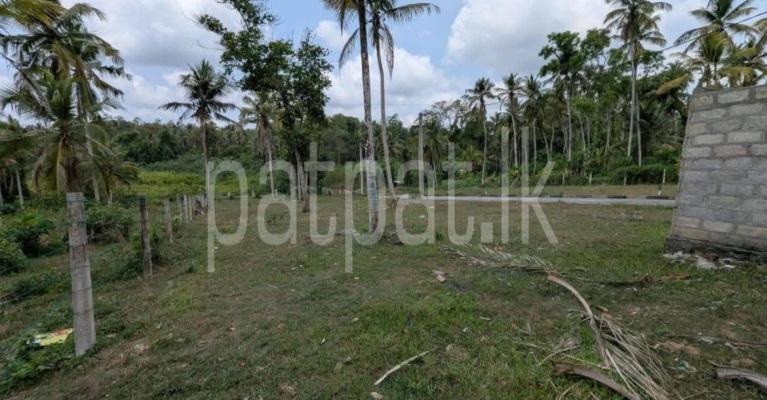Commercial Land for Sale in Kalagedihena