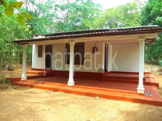 premium-listing-image