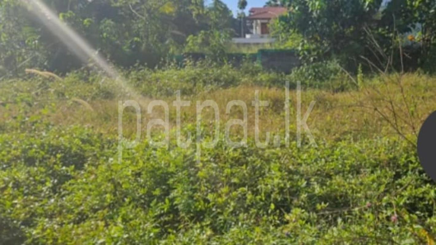 Residential Land for Sale in Homagama