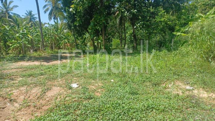 premium-listing-image