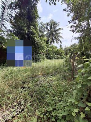 Agricultural Land for Sale in Panadura