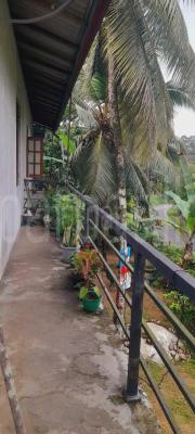 premium-listing-image