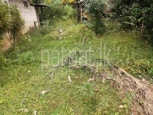 premium-listing-image