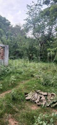 premium-listing-image