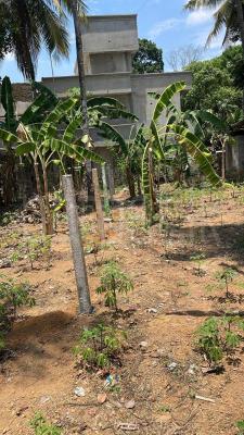 premium-listing-image