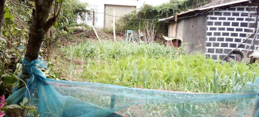 premium-listing-image