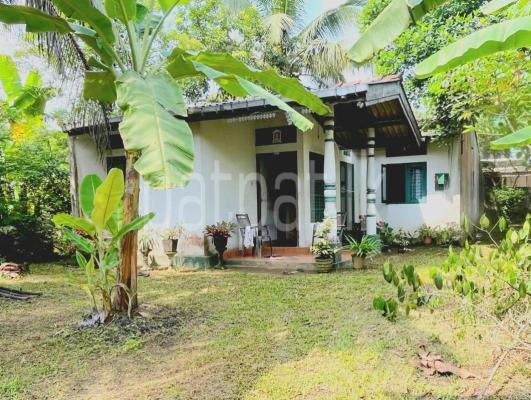 premium-listing-image