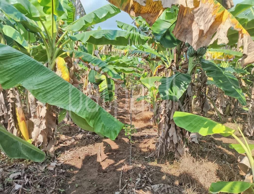 Agricultural Land for Sale in Udamattala