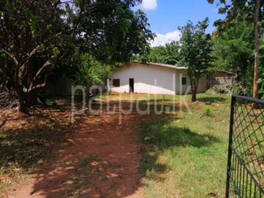 Residential Land for Sale in Anuradhapura