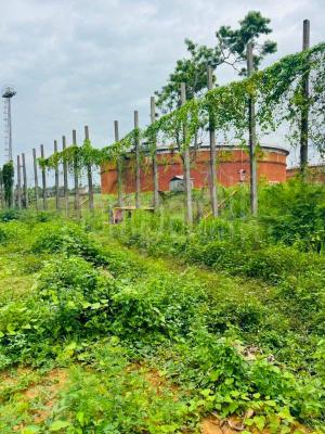 Residential Land for Sale in Ruwanwella