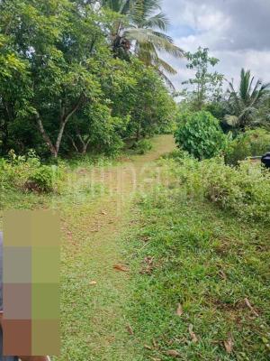 Agricultural Land for Sale in Malwana