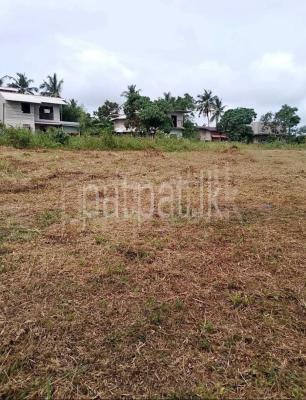 premium-listing-image