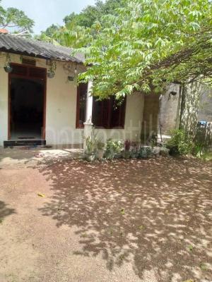 premium-listing-image