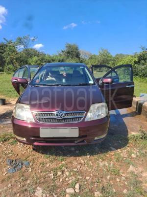 Toyota Corolla 2007 - Used Car sale in Sri Lanka - patpat.lk