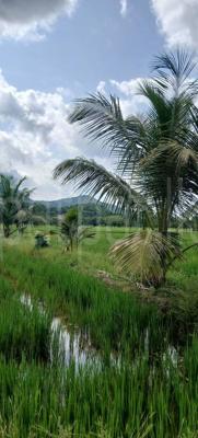 Agricultural Land for Sale in Kataragama