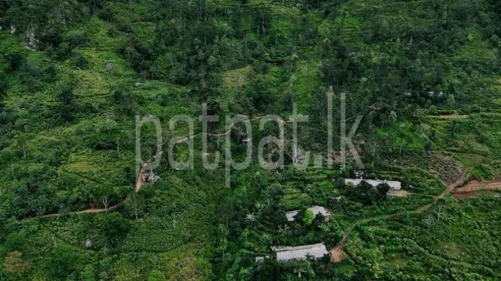 premium-listing-image