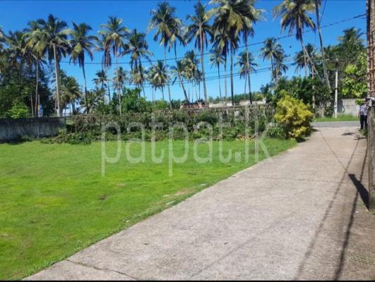 premium-listing-image