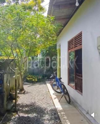 ads-image-1