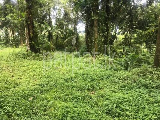 Commercial Land for Sale in Piliyandala