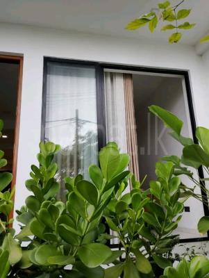 ads-image-1