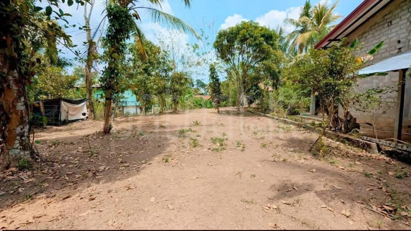 Residential Land for Sale in Veyangoda