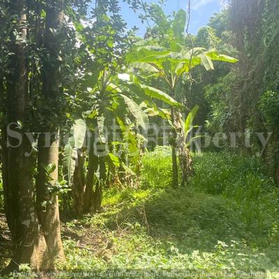 premium-listing-image