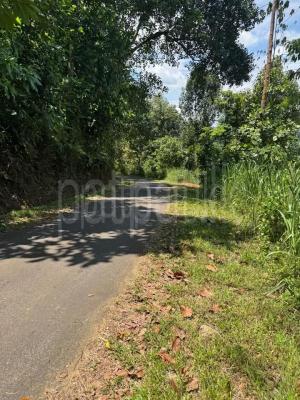 Agricultural Land for Sale in Deraniyagala