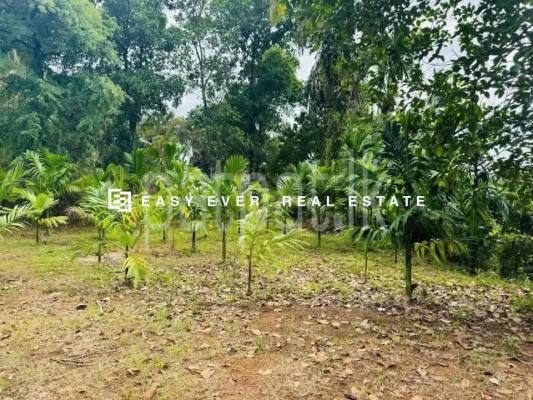 Residential Land for Sale in Nittambuwa