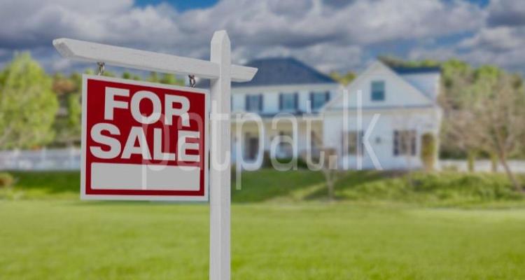 premium-listing-image